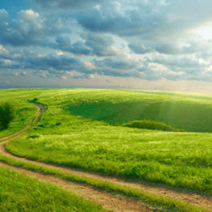 Car Parks,Country Estates,Farm Land,Parks & Gardens,Ponds , Lakes , Islands,Quarries,Rooftops, Roof Gardens,Sea Front,Swimming Pools,Tennis Courts,Urban, Alleyways & Graffiti,Villages, Roads & Streets,Waste Land,Woodland