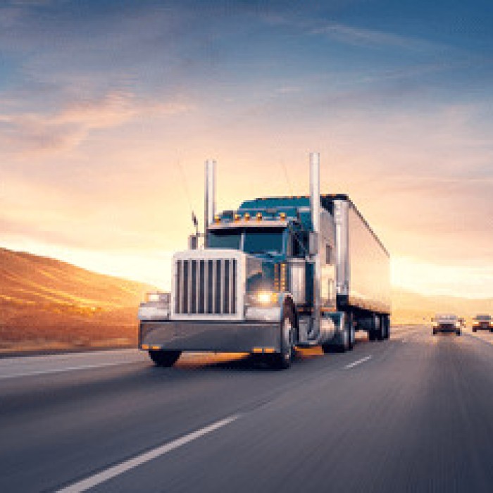 Boats,Buses,Cars, Camper Vans & Caravans,Emergency Vehicles,Lorries & Trucks,Planes, Simulators & Airfields,Trains, Stations & Yards